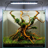 Premium Drift Wood - PD 28 | L*W*H = 26*12*19 Inches