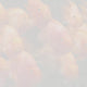 Food Inch Gold Parrot Color Enhancer