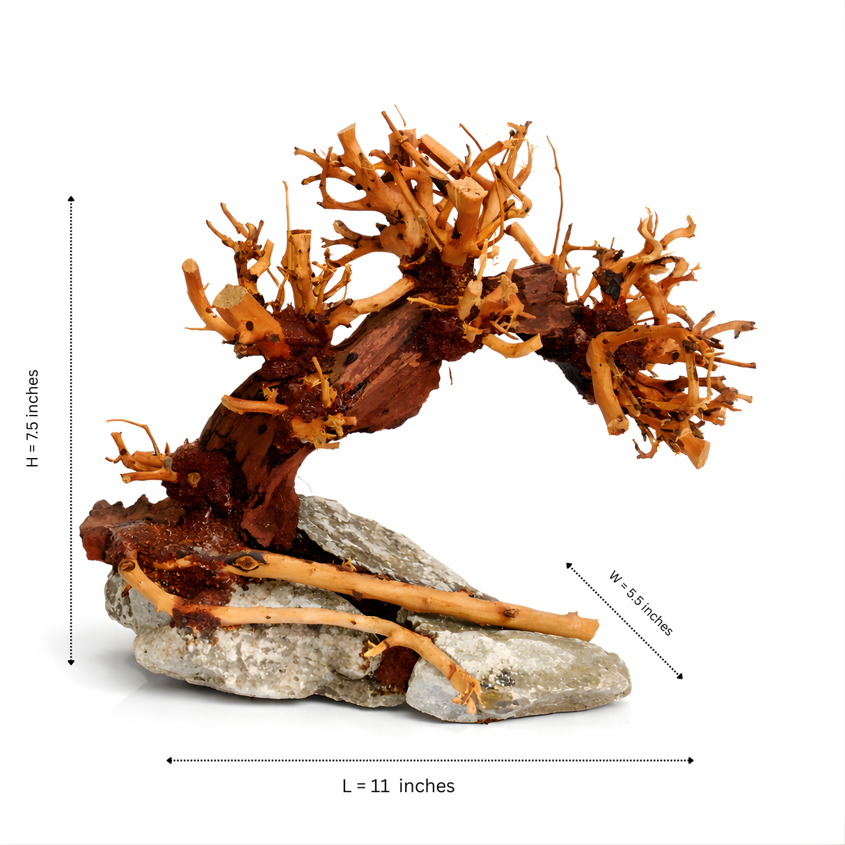 Ready Scape AA - 002 | L*W*H = 11*6*8 Inches