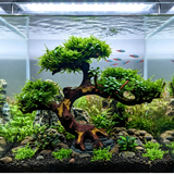 Ready Scape AA - 004 | L*W*H = 11*5*7 Inches