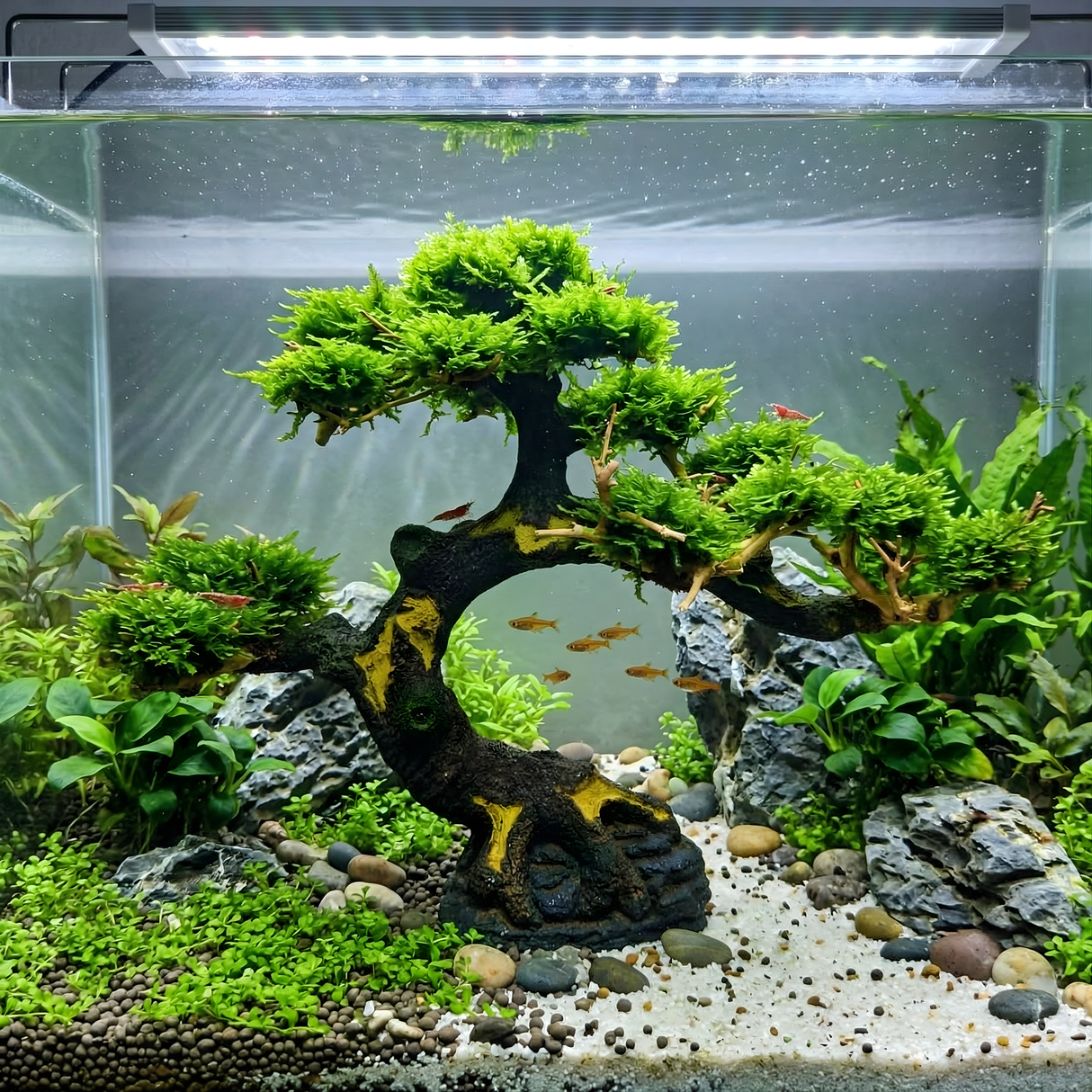 Ready Scape AA - 004 | L*W*H = 11*5*7 Inches