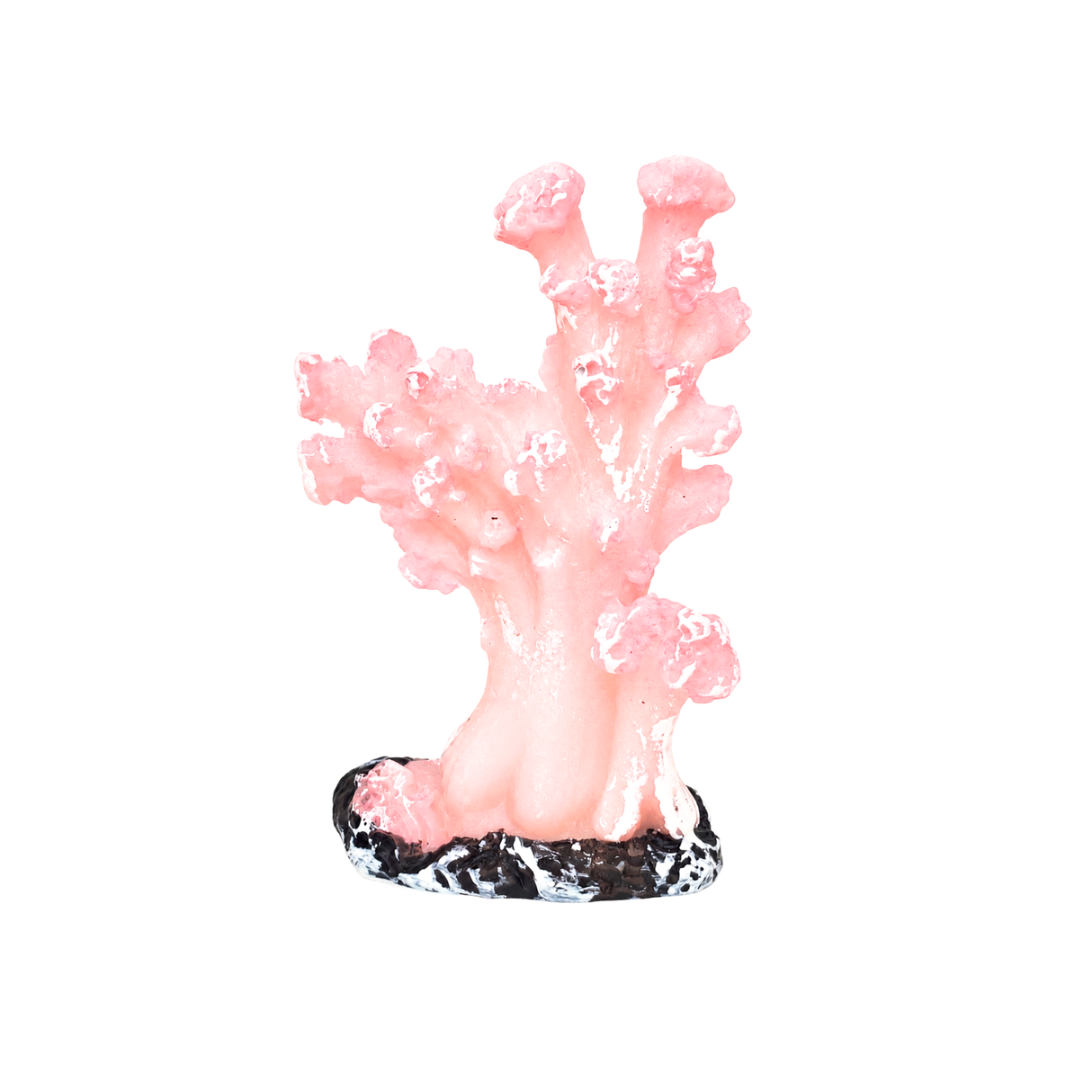 Decor Pink Corel Toy | Single