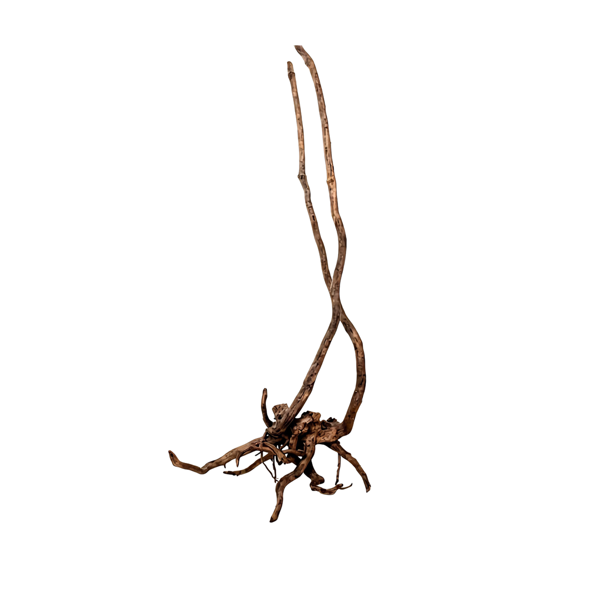 Stem Driftwood SD10 | L*W*H = 22*22*51 Inches