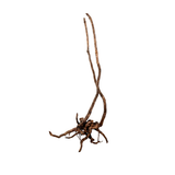 Stem Driftwood SD10 | L*W*H = 22*22*51 Inches