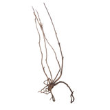 Stem Driftwood SD11 | L*W*H = 21*15*52 Inches