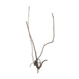 Stem Driftwood SD13 | L*W*H = 22*11*48 Inches