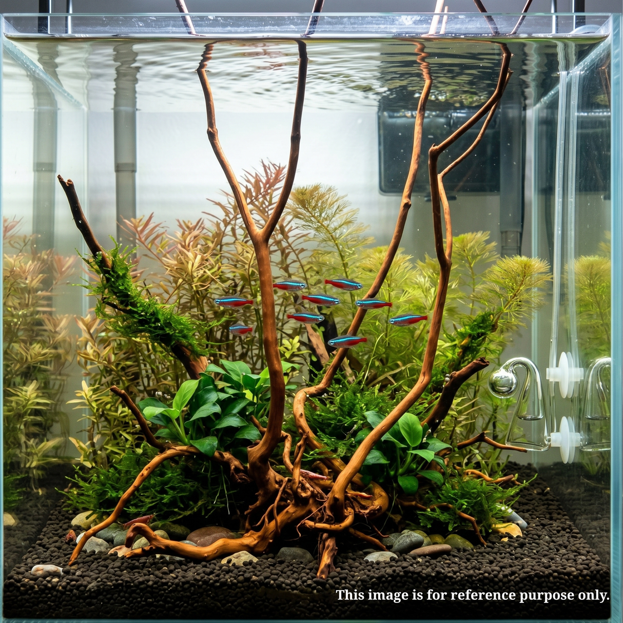 Stem Driftwood SD16 | L*W*H = 35*27*61 Inches