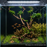 Stem Driftwood SD19 | L*W*H = 24*16*53 Inches