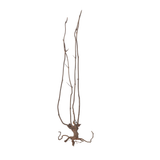 Stem Driftwood SD21 | L*W*H = 19*16*55 Inches