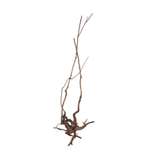 Stem Driftwood SD23 | L*W*H = 25*29*63 Inches
