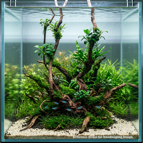 Stem Driftwood SD23 | L*W*H = 25*29*63 Inches