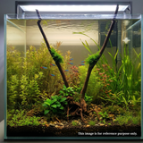 Stem Driftwood SD26 | L*W*H = 28*18*52 Inches