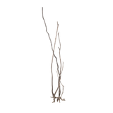 Stem Driftwood SD28 | L*W*H = 18*18*66 Inches