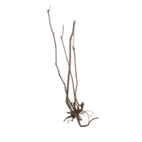 Stem Driftwood SD29 | L*W*H = 26*19*55Inches
