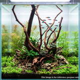 Stem Driftwood SD29 | L*W*H = 26*19*55Inches