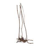 Stem Driftwood SD30 | L*W*H = 30*13*58 Inches