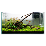 Stem Driftwood SD31 | L*W*H = 23*14*64 Inches