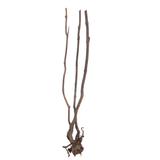 Stem Driftwood SD3 | L*W*H = 13*11*54 Inches