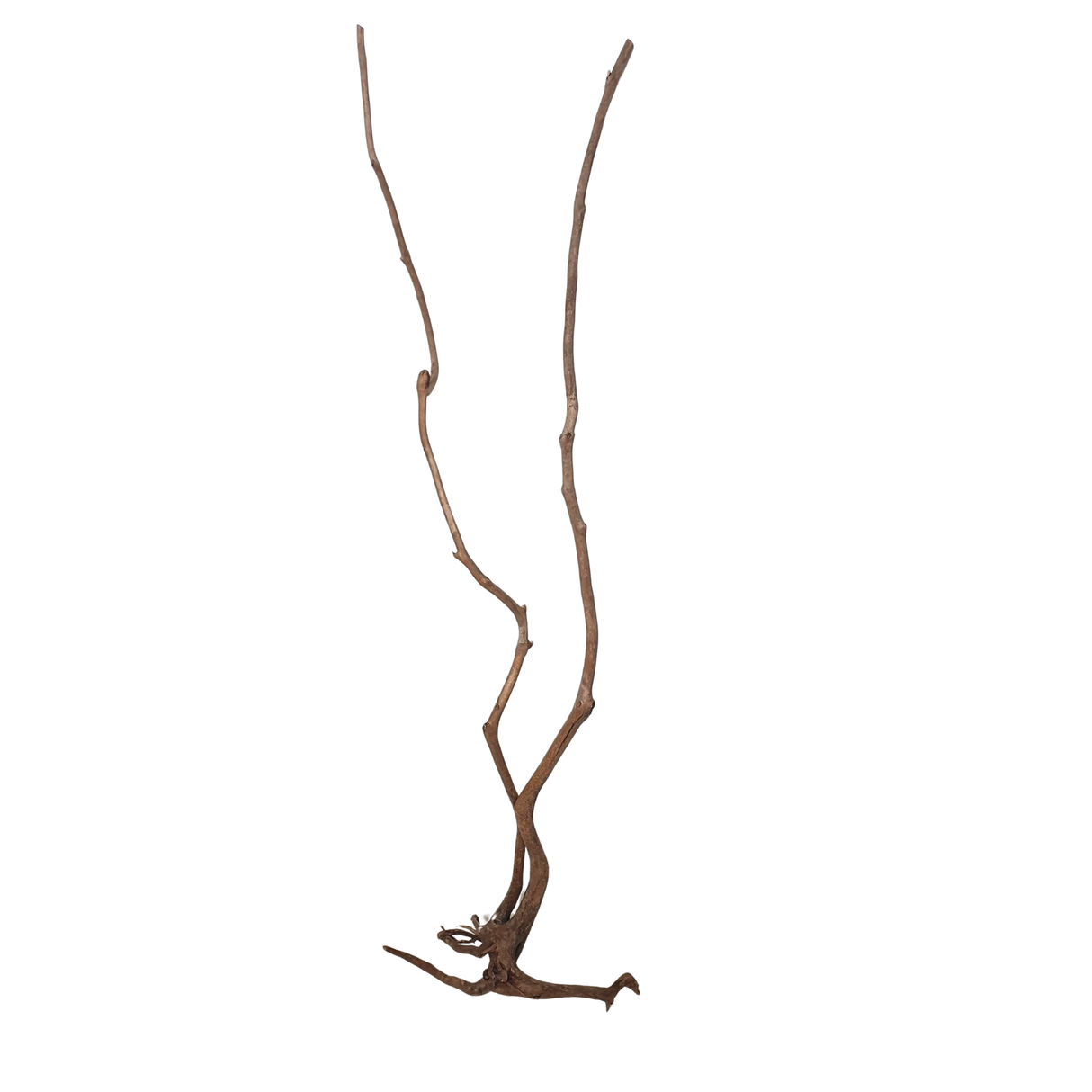 Stem Driftwood SD4 | L*W*H = 21*13*54 Inches