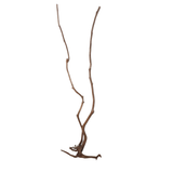 Stem Driftwood SD4 | L*W*H = 21*13*54 Inches
