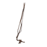 Stem Driftwood SD5 | L*W*H = 15*7*57 Inches