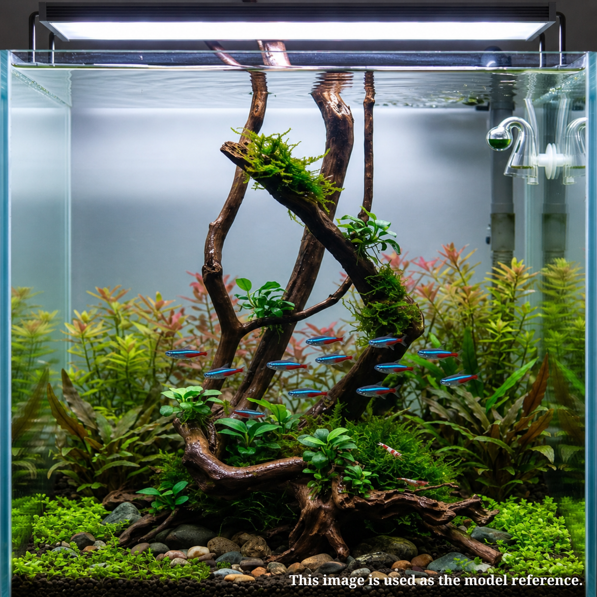 Stem Driftwood SD5 | L*W*H = 15*7*57 Inches