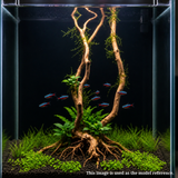 Stem Driftwood SD6 | L*W*H = 11*15*56 Inches