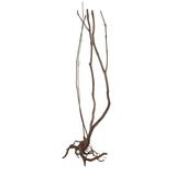 Stem Driftwood SD7 | L*W*H = 19*16*54 Inches