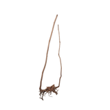 Stem Driftwood SD8 | L*W*H = 18*13*58 Inches