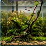 Stem Driftwood SD9 | L*W*H = 39*20*43 Inches