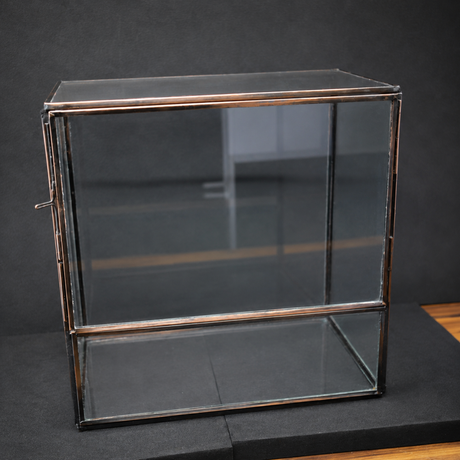 Metal Framed Terrarium Box