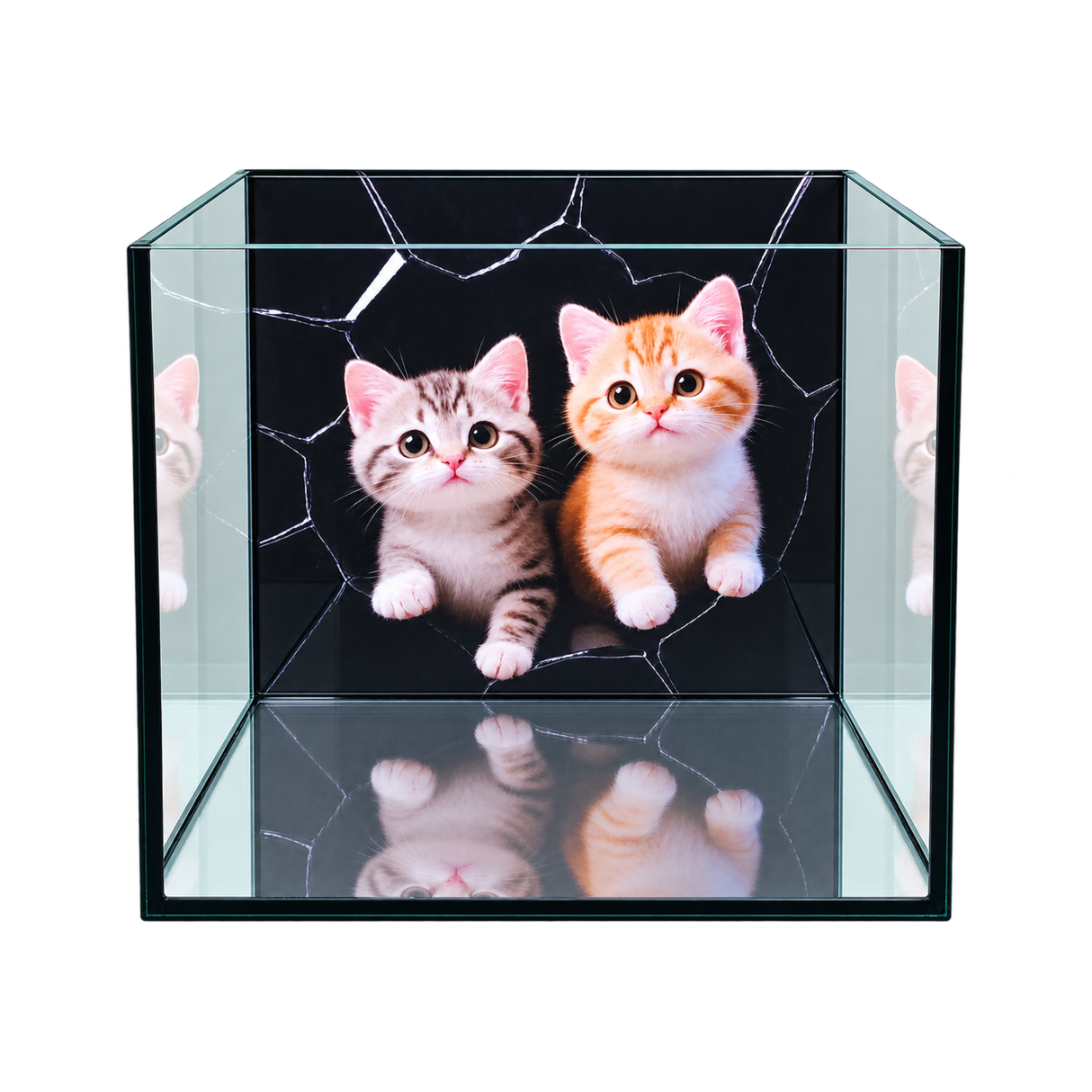 Ultra Clear Cubic Tank With Cat Background Sticker | L*W*H = 40*40*40 cm 6mm