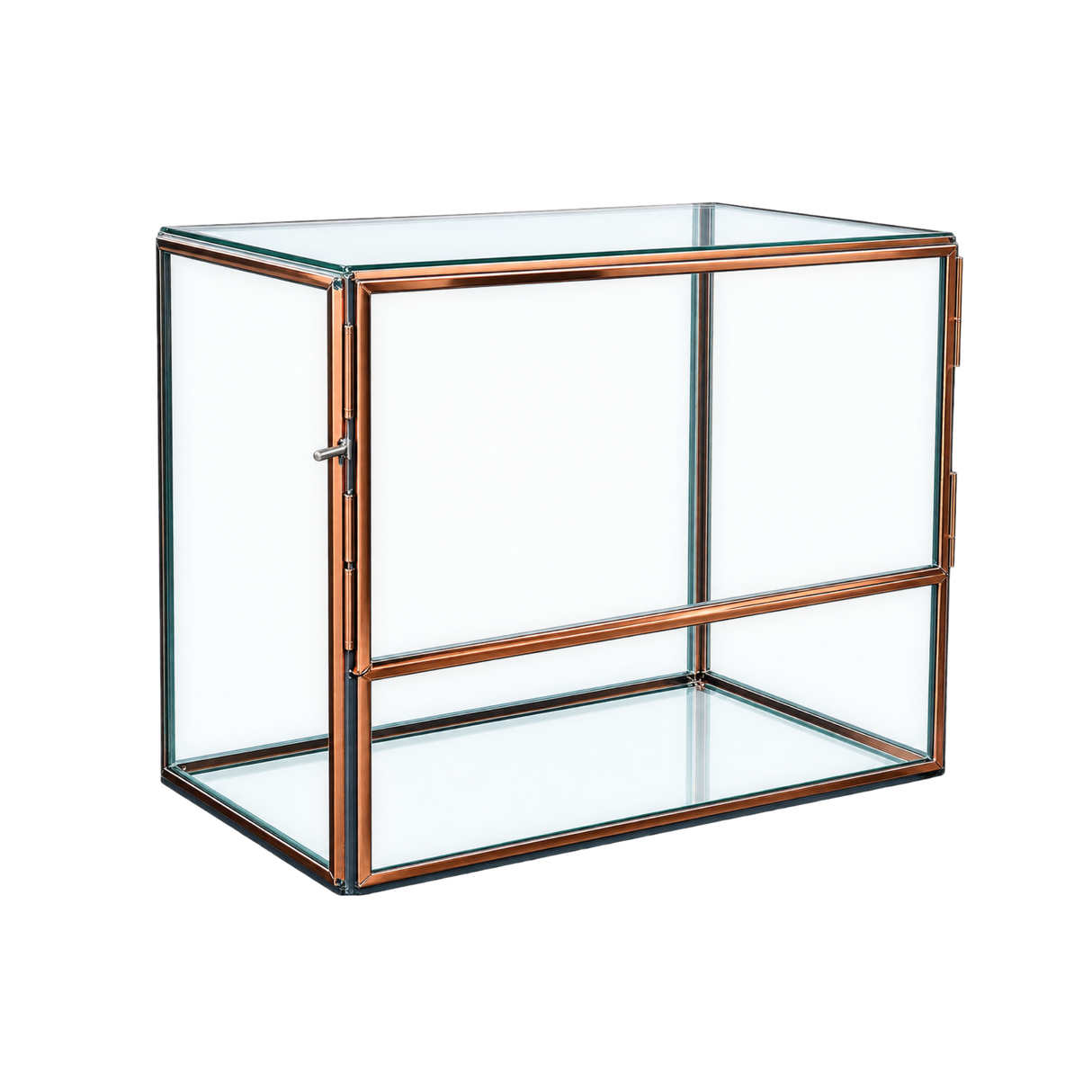 Metal Framed Terrarium Box