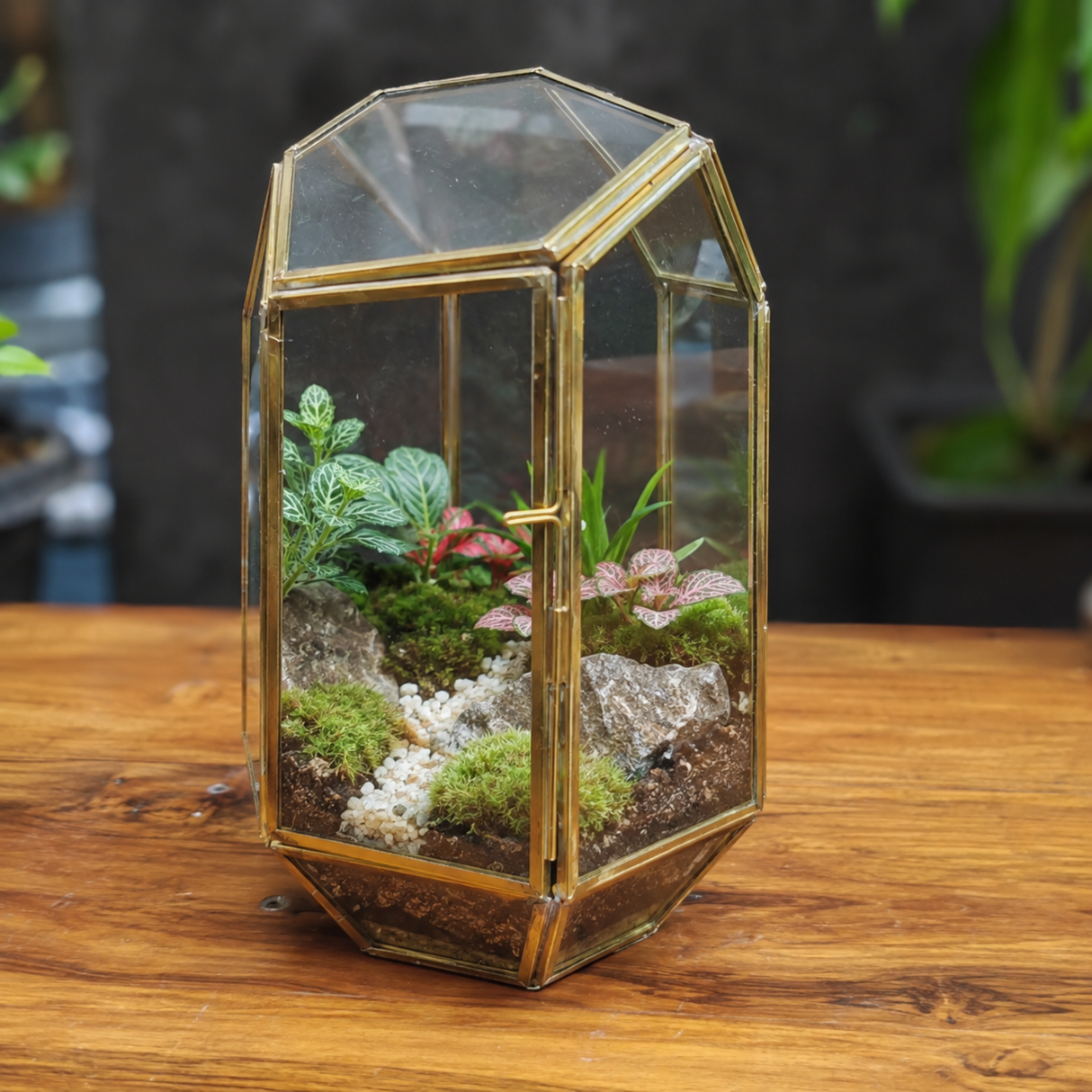 Geometric Glass And Brass Terrarium Lantern H*W = 9*6 Inches