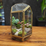 Geometric Glass And Brass Terrarium Lantern H*W = 9*6 Inches