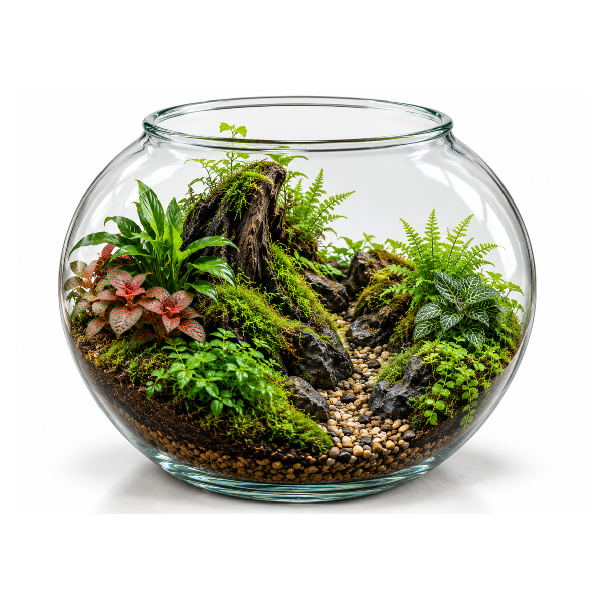 Ultra Clear Glass Fish Bowl H*W = 6*7 Inches