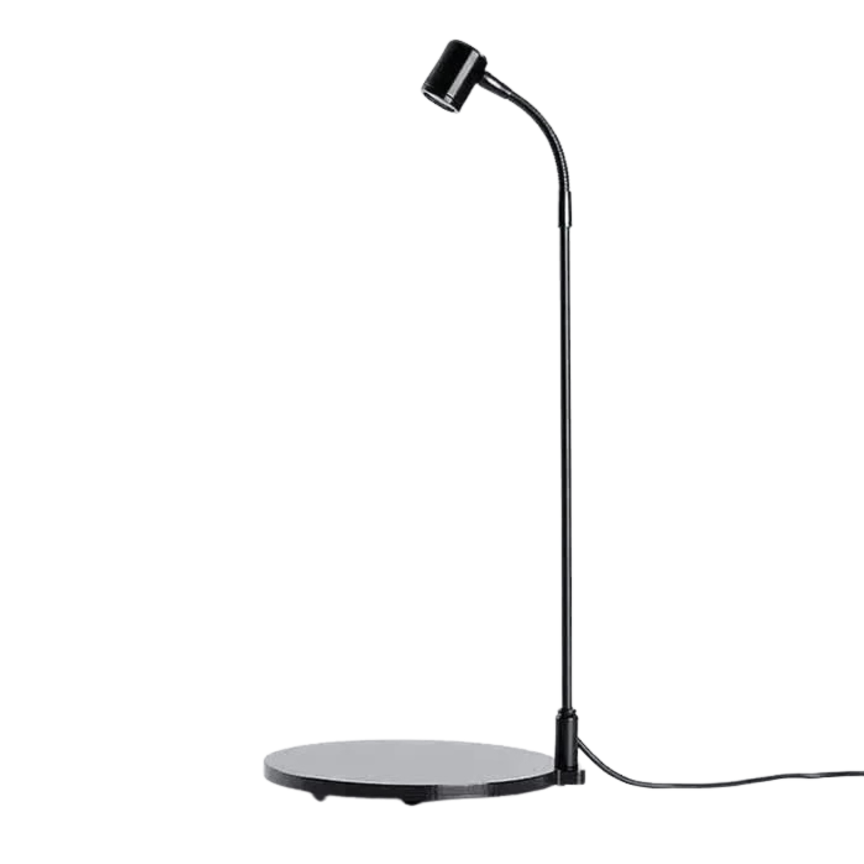 Terrarium Bowl Light