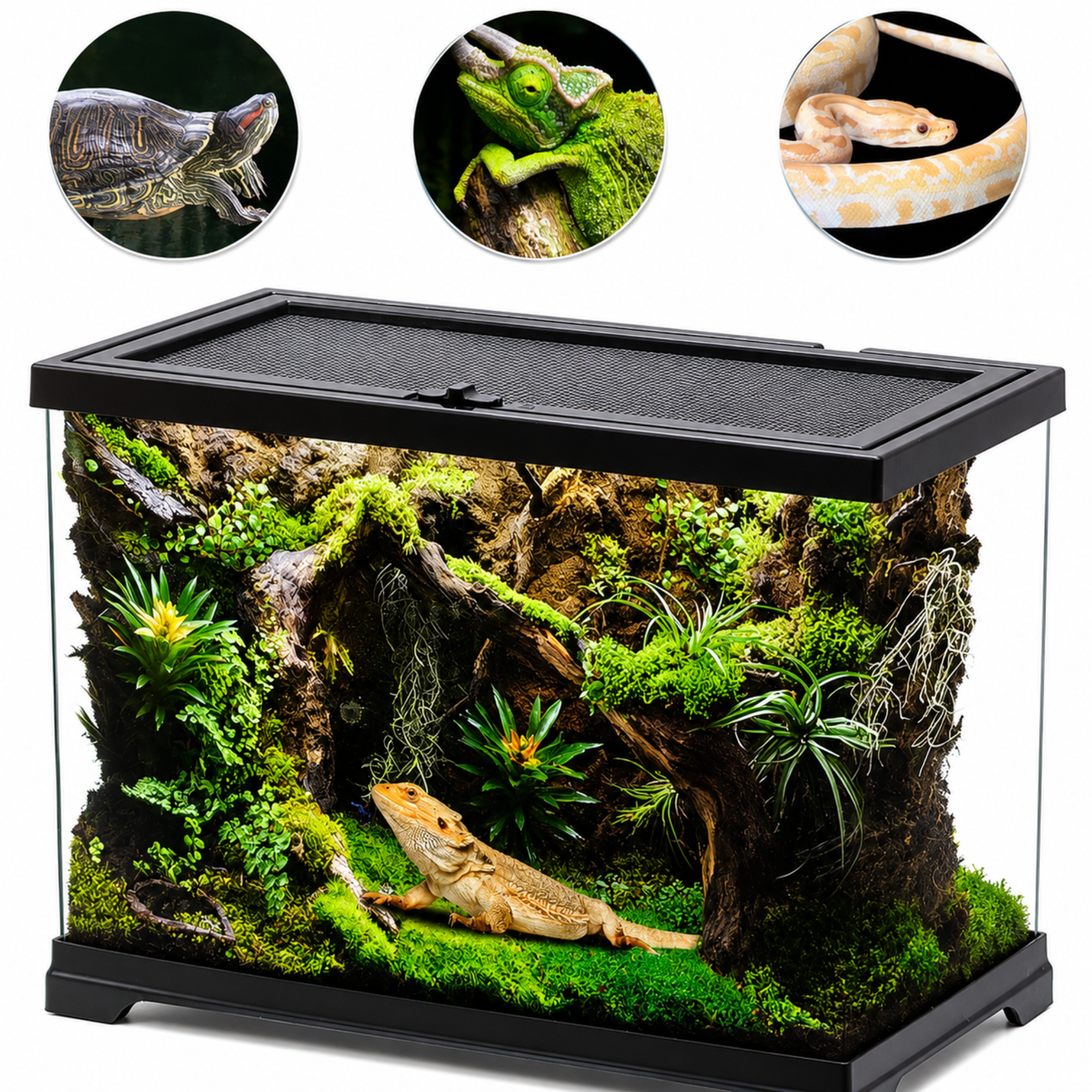 Dophin Terrarium Tank TT-815 | L*W*H= 51*27*34cm 4mm